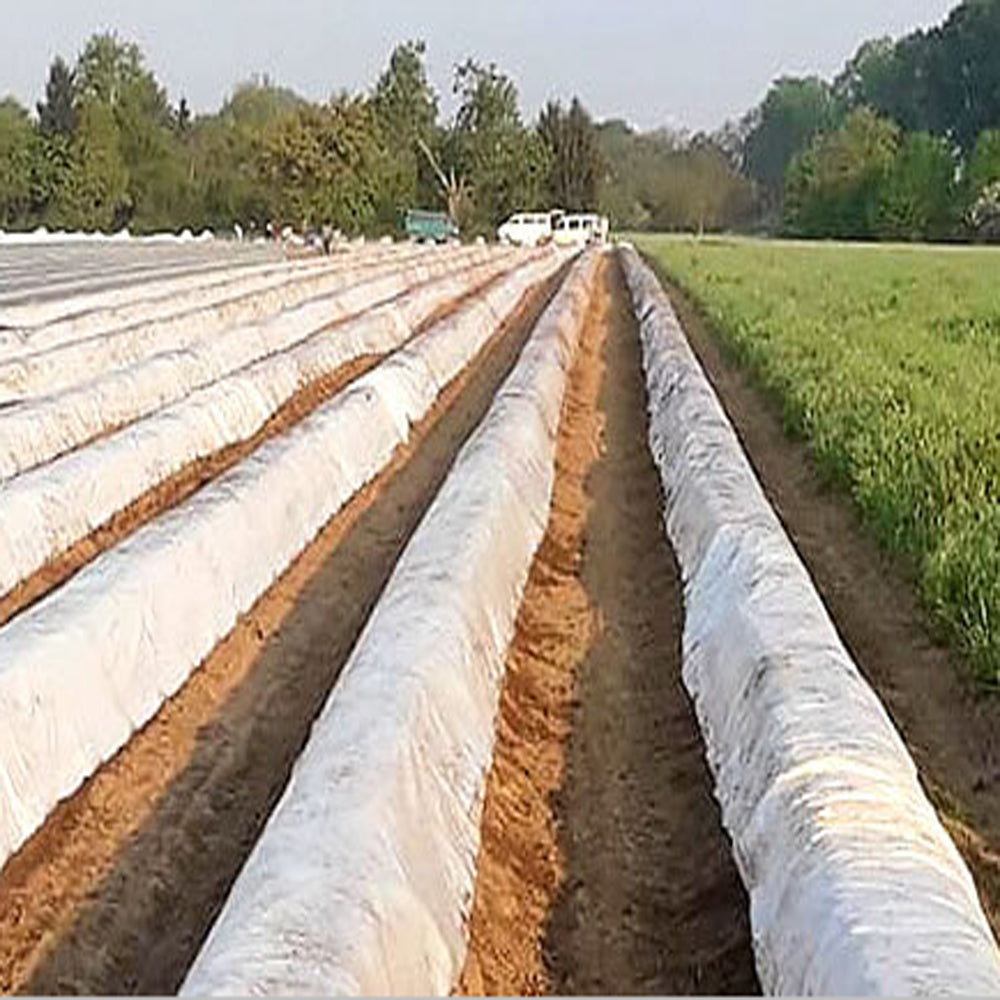 All Inklusive Premium Spargel Wanderung - inkl. Verpflegung
